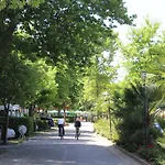 Cisano - San Vito Kemping Bardolino