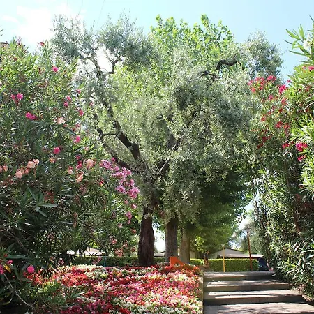 Campsite Cisano - San Vito
