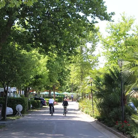 Cisano - San Vito Campsite Bardolino
