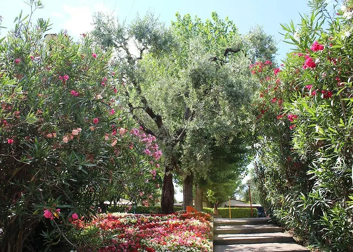 Camping Cisano - San Vito